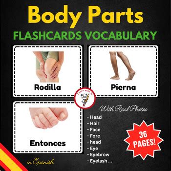 spanish vocabulary body parts flashcards photo reel  learn  ili
