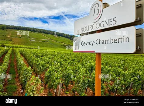 Gevrey Chambertin Wine High Resolution Stock Photography and Images - Alamy