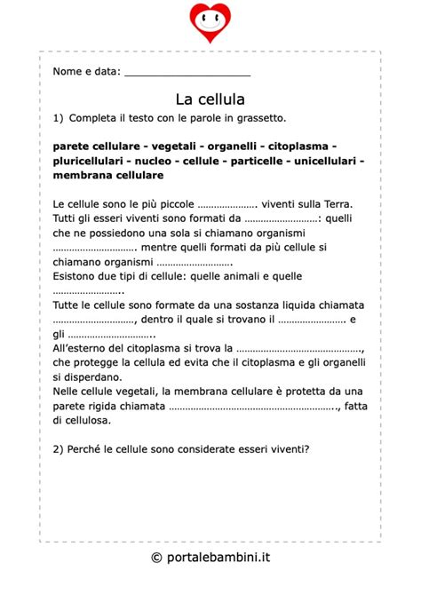 La Cellula Materiale Didattico Scuola Primaria Portalebambini It