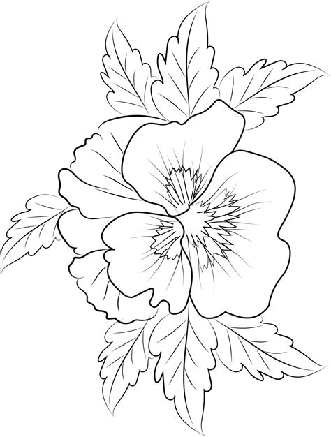 Easy Flower Coloring Pages Sketch Rhinegold Pancy Flower Drawing