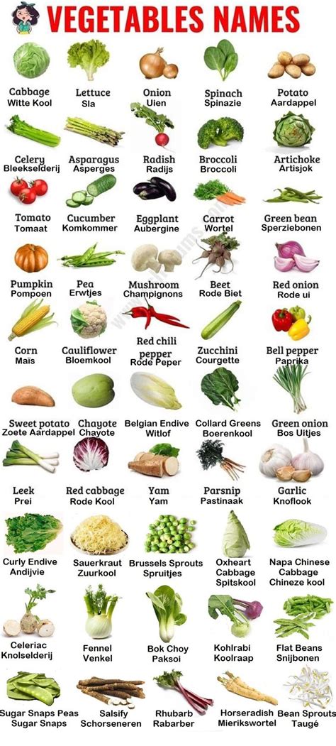 An Image Of Vegetables Names In English