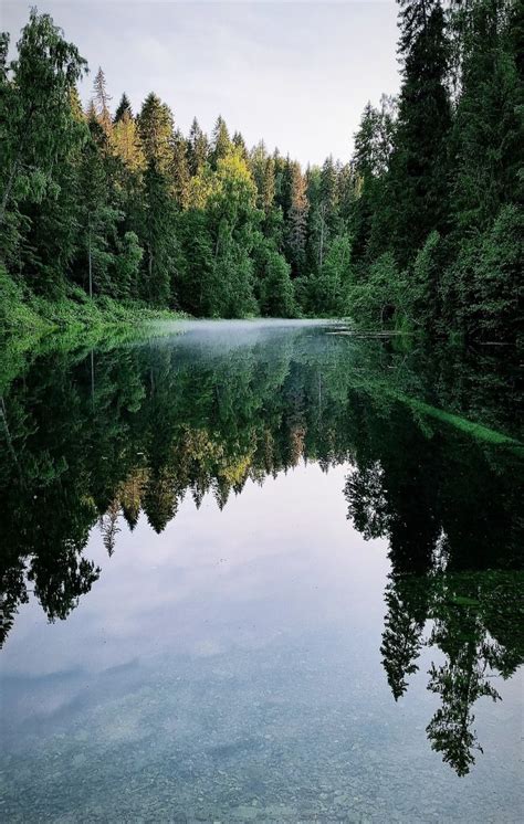 Озеро в лесу | Озеро, Лес, Пейзажи