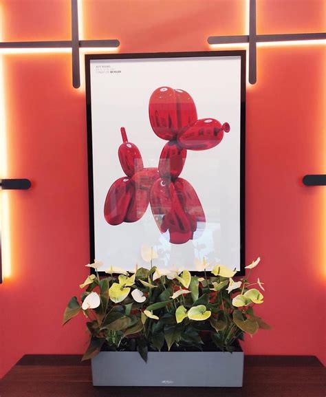 Озеленение дома - Anna-decor.com