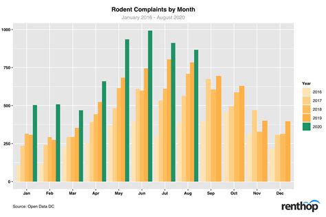 Rodent Crisis is Getting Worse in Major U.S. Cities - Real Estate Data