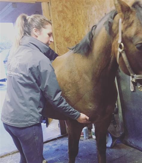 Myofascial Therapy — Jessica Limpkin Equine Massage Therapy