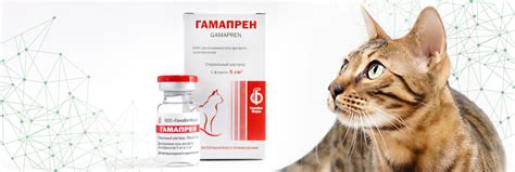 4 иммуномодулятора (имунностимулятора) для кошек и собак: гамавит ...