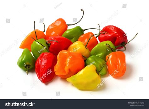 Colorful Hot Small Chili Peppers Isolated Stock Photo 1752560210 Shutterstock