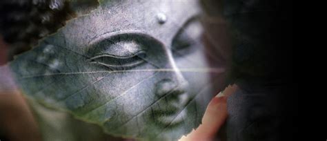 Understanding Rebirth Vs Reincarnation In Theravada Buddhism Maithri