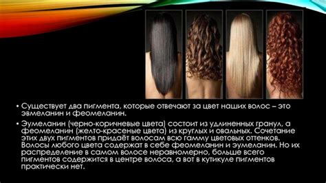 Пигментация волос