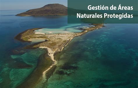 Gesti N De Reas Naturales Protegidas Biomar