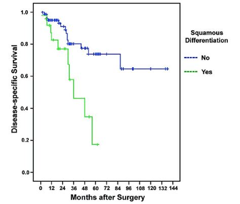 Cancer Specific Survival Among Patients With And Without Squamous Download Scientific Diagram