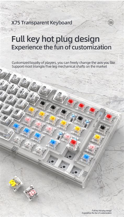 Xinmeng X Transparent Gasket Structure Hot Swappable Wired Rgb Mechanical Keyboard