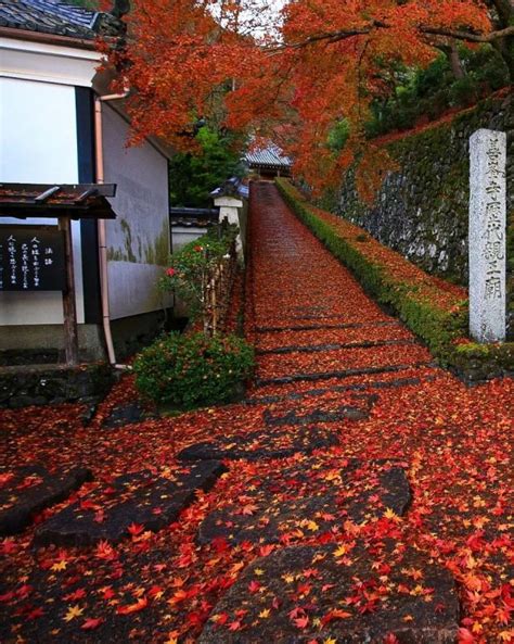 KYOTO MOYOU TABI MOYOU 京都もよう日本旅もよ on Tumblr