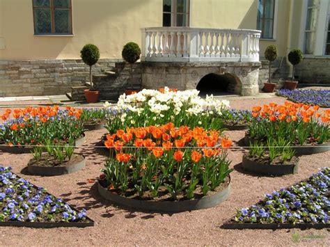 Круглые клумбы на даче: 40 простых и доступных вариантов | Живу за городом