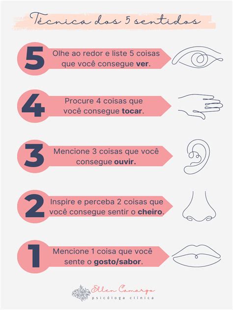 Tecnica Dos 5 Sentidos