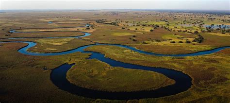 Okavango Delta Wildlife: What Animals Live in Okavango Delta - TourRadar