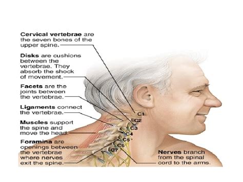 Medical Terminology Lesson 2 Algia Painful Condition A