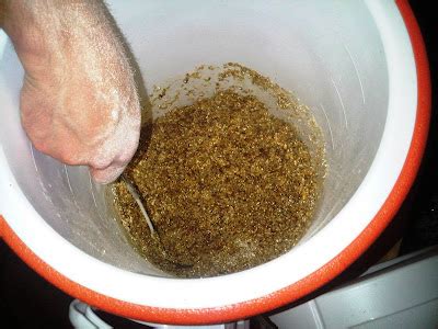 Milk Is For Babies Moinette Blonde Helps Me Kill Lobsters And Brew My First Partial Mash Home Brew