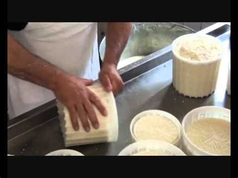 Impariamo A Fare Il Formaggio Wmv Youtube