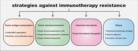 Frontiers Mechanism And Strategies Of Immunotherapy Resistance In