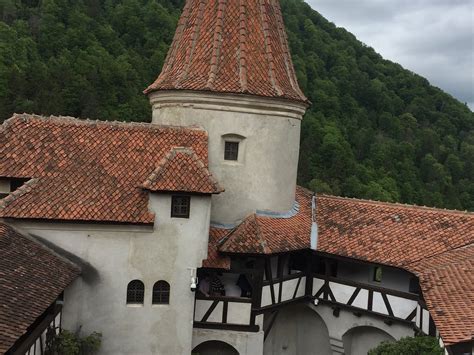 castles tours           reviews