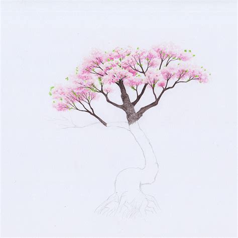 how to draw a tree in spring