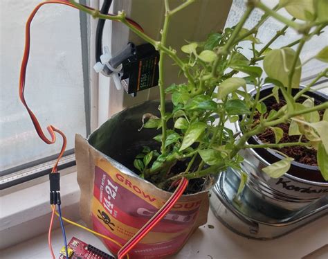 Капельный полив рассады на подоконнике - фото