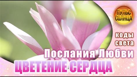 Цветение Сердца в сиянии Солнца Любви. Послания Любви. С Праздником 8 ...