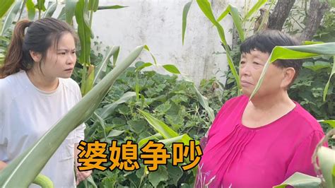 青妹妹吐槽婆婆不给种菜，婆婆责怪青妹的菜种太差，婆媳互相伤害【青妹妹】 Youtube