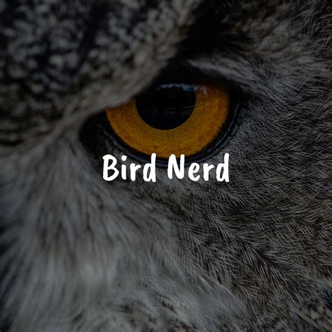 Bird Nerd