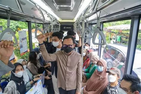 tarif bis kita kota bogor bus kota transpakuan  umum  pelajar