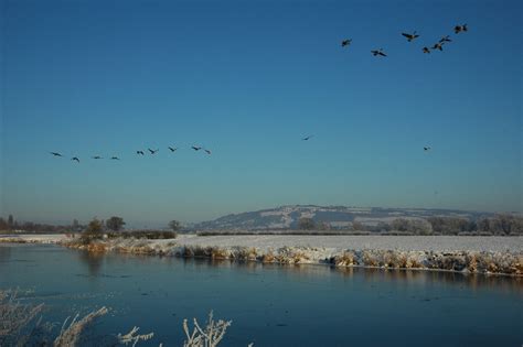 Canada Geese Over A Frozen River Avon Philip Halling Cc By Sa