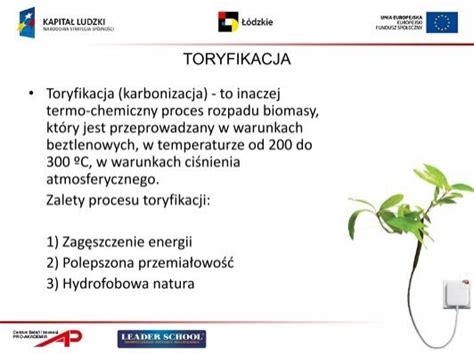 Toryfikacja Toryfikac