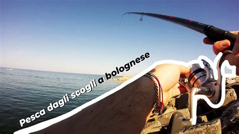 Pesca Dagli Scogli A Bolognese Youtube