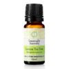 Lemon Tea Tree Essential Oil Essentially Australia