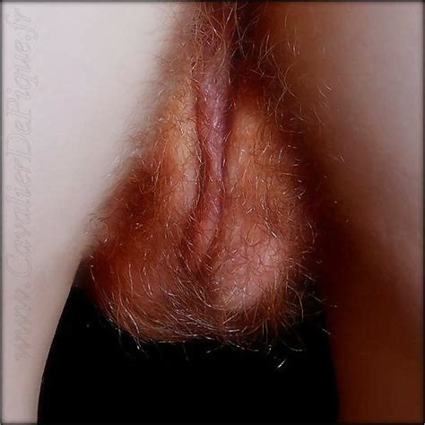 Mature Amateur Hairy Porn Pictures Xxx Photos Sex Images Pictoa