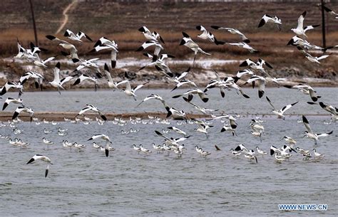 View Of Salt Lake In Yuncheng City North Chinas Shanxi Xinhua