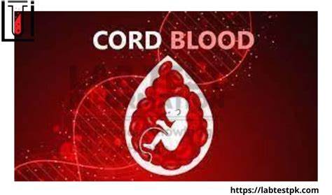 Cord Blood Stem Cells