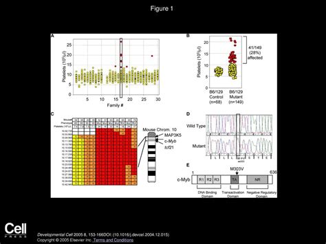 Volume 8, Issue 2, Pages (February 2005) - ppt download