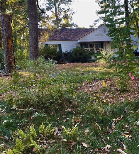 Habitat Expansion — EcoLogic