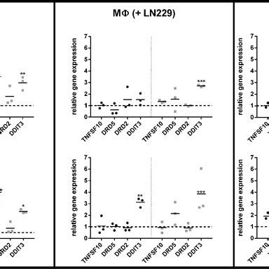 Expression Of Tnfsf Drd Drd And Ddit In Primary Macrophages