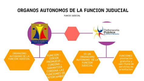 Organo De La Funcion Judicial