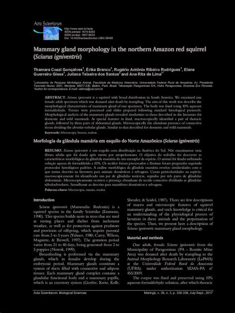 PDF Mammary Gland Morphology In The Northern Amazon Red Mammary