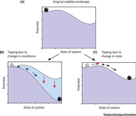 What Do You Mean Tipping Point Trends In Ecology Evolution