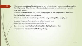 Male Sex Hormones Pptx