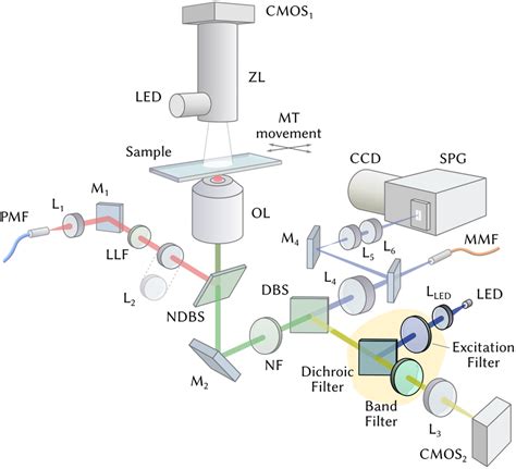 Combination Of A Confocal Raman Instrument With Fluorescence Microscopy