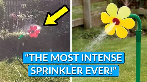 Intense Dancing Flower Sprinkler Crazy Daisy Youtube