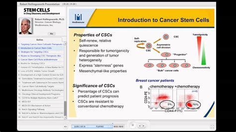 Targeting Cancer Stem Cells Youtube