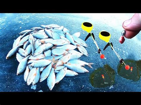 Супер насадка на Крупную Плотву. Плотва уничтожает наживку Вымя для ...