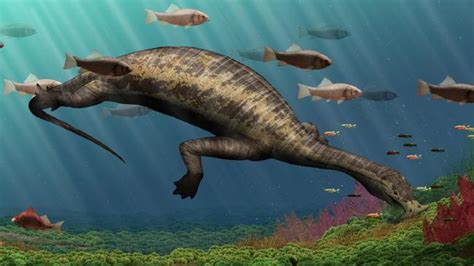 Hammerhead This Creature Was Oceans First Vegetarian Reptile